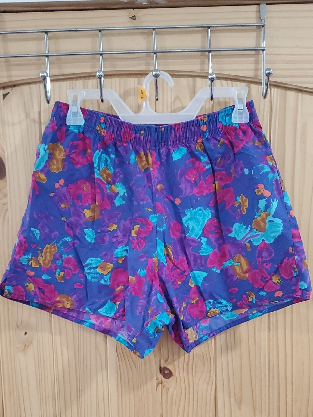 Vintage Dolfin International Shorts